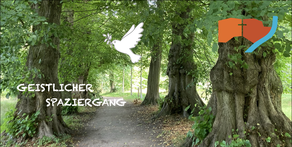 Head_GestlicherSpaziergang_5